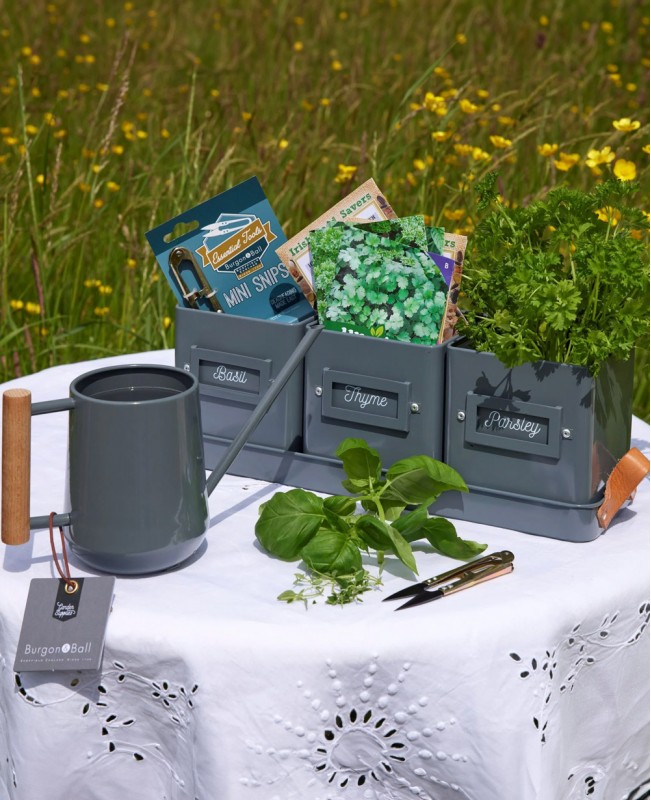 Kitchen Herb Garden Gift Set